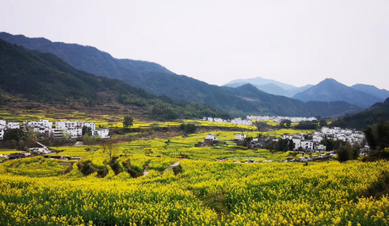 乡村旅游的五大创新模式